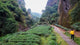 Fujian Tea: Deep Dive Into Fujian – Home of Tea Innovation