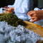 What to Know & How to Pair Jasmine Tea with Food