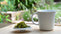 How green tea helps you to feel healthier