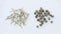 Jasmine Pearl Tea vs Jasmine Silver Needle